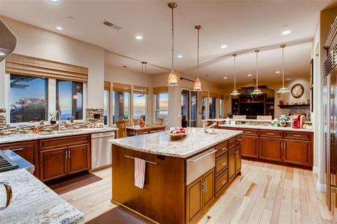 875 Rushings Trce, Alpine, CA 91901 photo 10