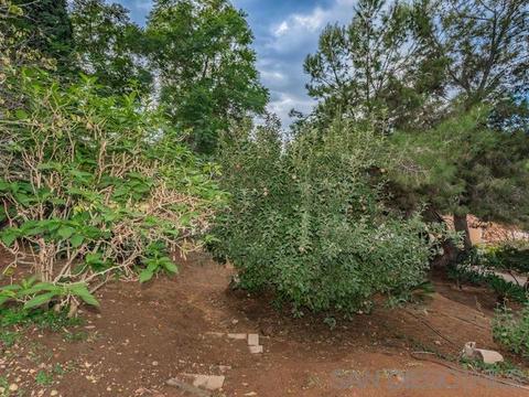 934 Birch Ave, Escondido, CA 92027 photo 8