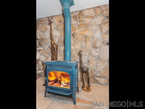934 Birch Ave, Escondido, CA 92027 photo 23