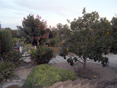 2543 Gum Tree, Fallbrook, CA 92028 photo 4