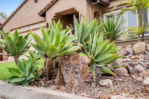 9157 Paseo Cresta, Santee, CA 92071 photo 25