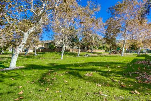 10285 Princess Sarit Way, Santee, CA 92071 photo 23