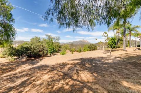 2833 Firebrand Dr, Alpine, CA 91901 photo 20