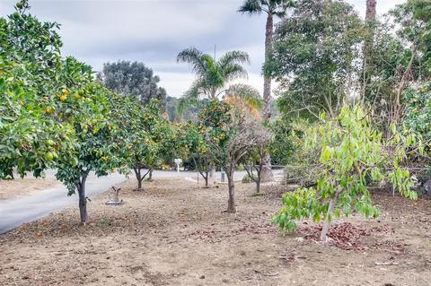 1313 Joy, Fallbrook, CA 92028 photo 11