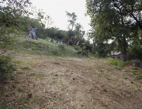 72 Corte Madera Rd, Pine Valley, CA 91962 photo 12