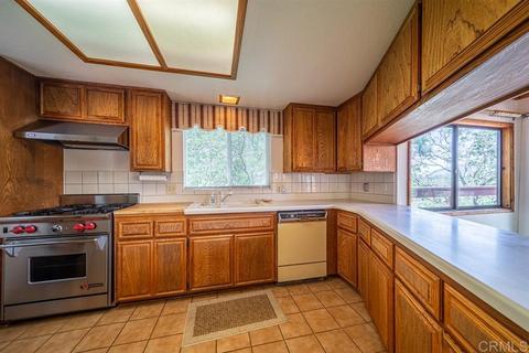 1236 Volcan View Dr, Julian, CA 92036 photo 8