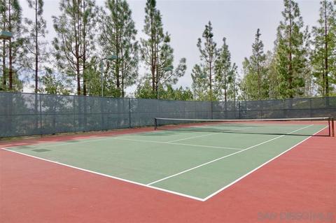 2293 Larkspur Dr, Alpine, CA 91901 photo 23