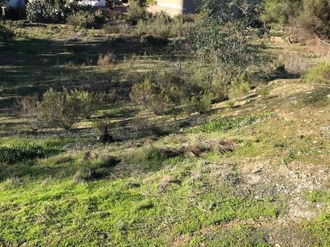 9370 De Camp Dr, La Mesa, CA 91942 photo 14
