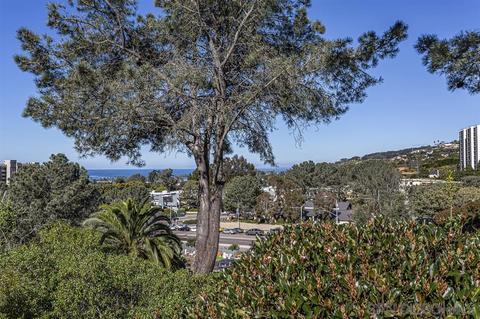 2449 Ardath Rd, La Jolla, CA 92037 photo 5