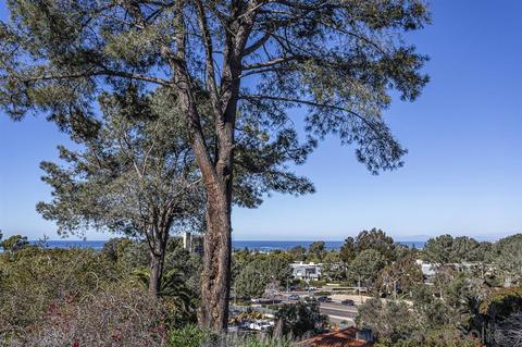 2449 Ardath Rd, La Jolla, CA 92037 photo 6