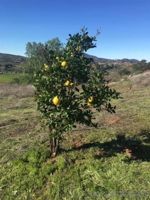 13516 Hillside Ests #., Jamul, CA 91935 photo 13