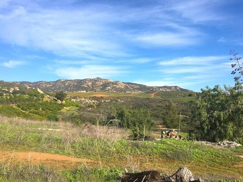 13516 Hillside Ests #., Jamul, CA 91935 photo 7