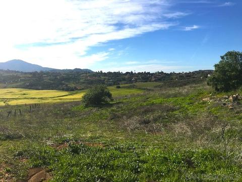 13516 Hillside Ests #., Jamul, CA 91935 photo 9