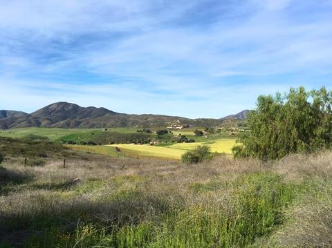 13516 Hillside Ests #., Jamul, CA 91935 photo 4