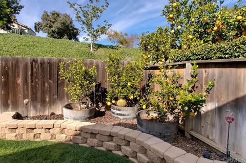 250 Boleroridge Pl, Escondido, CA 92026 photo 25