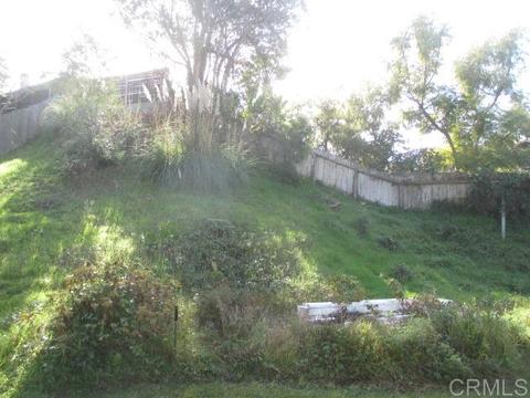 1038 Glen Arbor Dr, Encinitas, CA 92024 photo 7