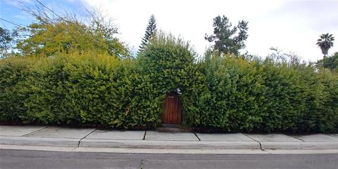 4209 Olive Ave, La Mesa, CA 91941 photo 13