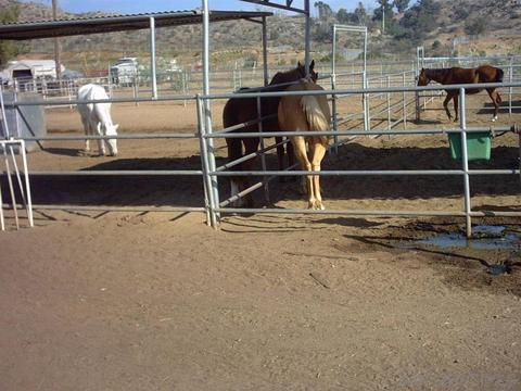 9793 Dunbar Ln, El Cajon, CA 92021 photo 6