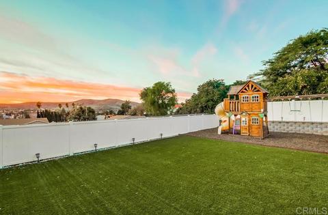 10438 Healy St, Santee, CA 92071 photo 19