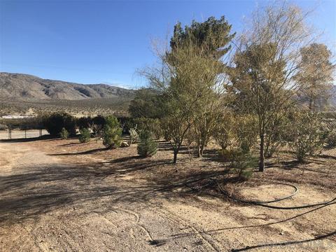 7418 Last Dollar Trl, Julian, CA 92036 photo 17