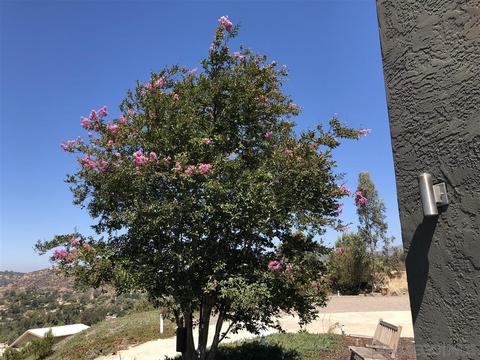 13855 Belvedere Dr, Poway, CA 92064 photo 6