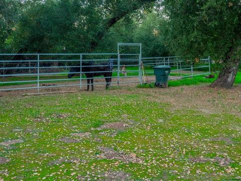 252 Sunnybrook Ln, El Cajon, CA 92021 photo 20