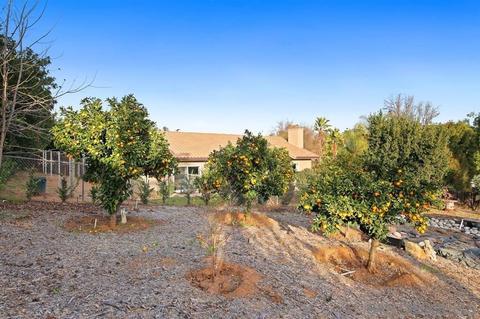 1476 Maye Pl, Escondido, CA 92027 photo 20