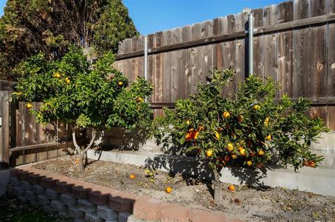 1458 Temple Heights Dr, Oceanside, CA 92056 photo 24