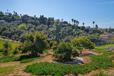 866 Brook Canyon Rd, Escondido, CA 92025 photo 5