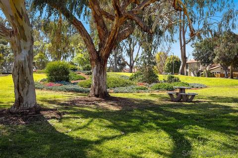 1904 Park Dale Ln, Encinitas, CA 92024 photo 25