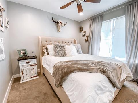 8715 Langholm Dr, El Cajon, CA 92021 photo 20