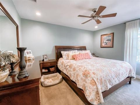 8715 Langholm Dr, El Cajon, CA 92021 photo 23