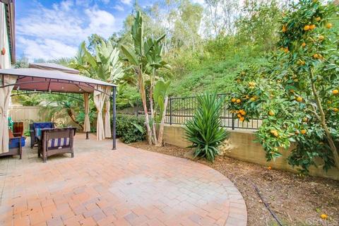 3061 Via Maximo, Carlsbad, CA 92009 photo 23