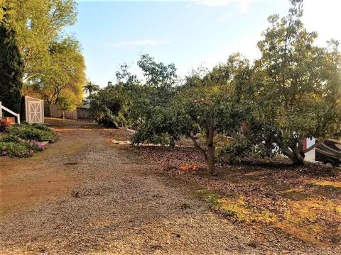 734 Palomino, Fallbrook, CA 92028 photo 18