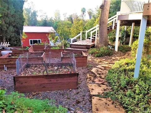 734 Palomino, Fallbrook, CA 92028 photo 16