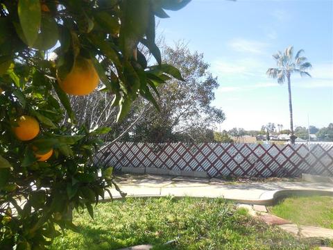 5340 Wheaton St, La Mesa, CA 91942 photo 5