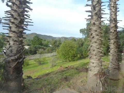 13952 Olive Vista Dr, Jamul, CA 91935 photo 16
