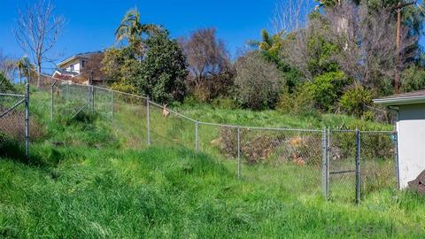 321 Elbrook Dr, Fallbrook, CA 92028 photo 17