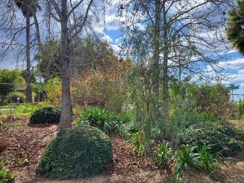 473 Ali Way, Fallbrook, CA 92028 photo 8