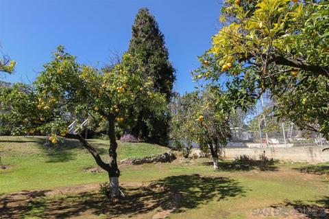 4611 Hillview Dr, La Mesa, CA 91941 photo 25