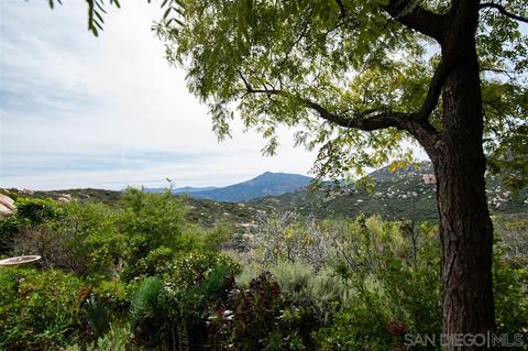 21080 Deerhorn Oak, Jamul, CA 91935 photo 24