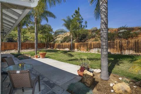 10002 Shaggybark Dr, Santee, CA 92071 photo 22