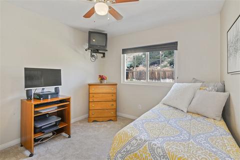 10002 Shaggybark Dr, Santee, CA 92071 photo 17
