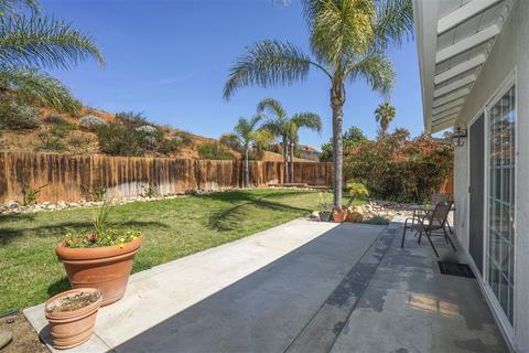 10002 Shaggybark Dr, Santee, CA 92071 photo 23