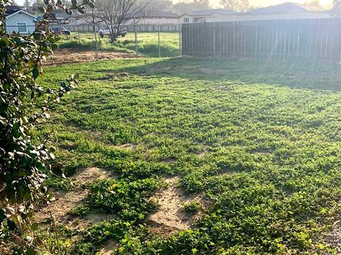 1544 Hanson Ln, Ramona, CA 92065 photo 16