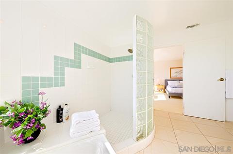 643 Rosemont St, La Jolla, CA 92037 photo 20