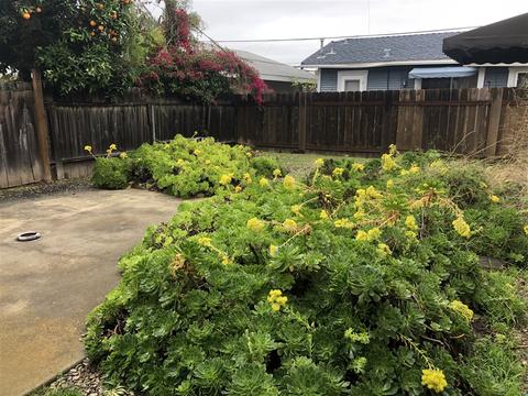 208 B, Coronado, CA 92118 photo 17