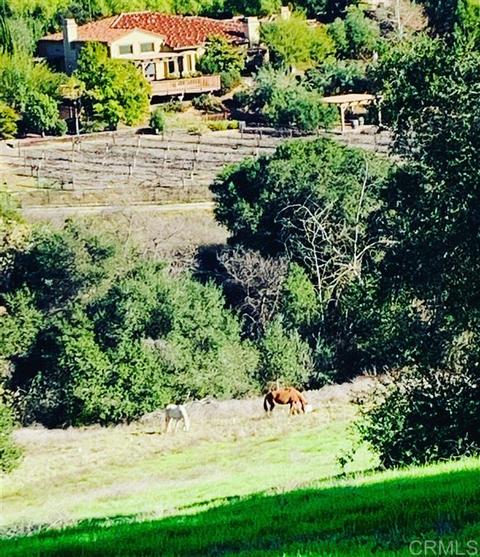 4318 Palomar Dr, Fallbrook, CA 92028 photo 14