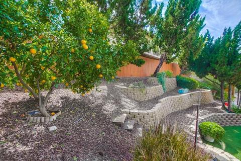 1531 W Knapp, Vista, CA 92083 photo 11