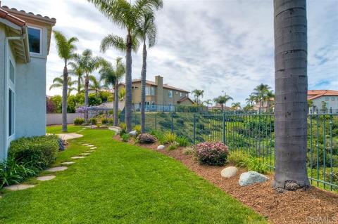 6609 Vireo Ct, Carlsbad, CA 92011 photo 23